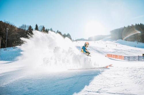 호텔 부지 내 또는 인근 스키장