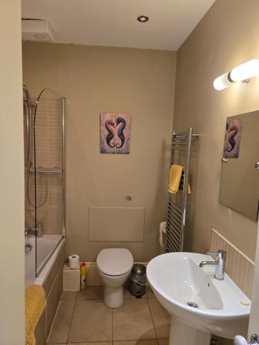 a bathroom with a sink and a toilet and a shower at Seaview Apartment in Aberystwyth
