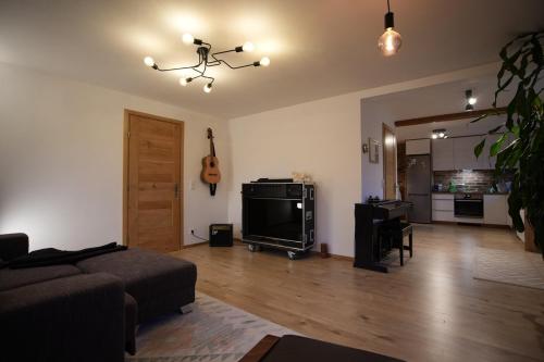 a living room with a couch and a television at spacious furnished apartment in Markt Erlbach