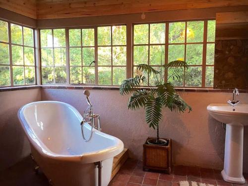 Victorian style cottage in Nyanga - 2096 في Juliasdale: حمام مع حوض ومغسلة ومصنع