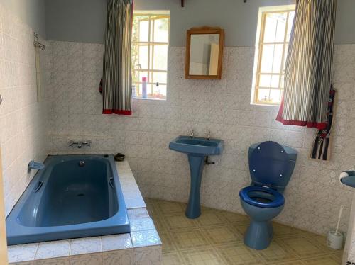 Beautiful round shaped cottage - 2094 في Juliasdale: حمام مع حوض استحمام أزرق ومرحاض ومغسلة