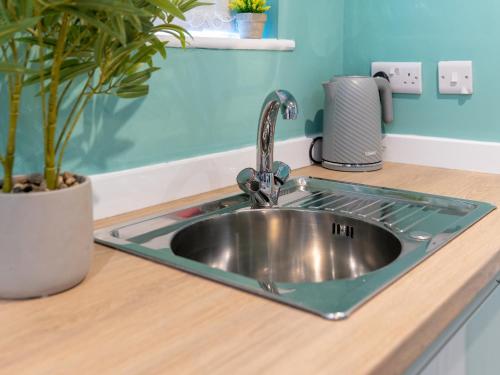 - un évier dans une cuisine avec une plante en pot dans l'établissement Hilltop Apartment 4 - Uk50596, à Earl Shilton