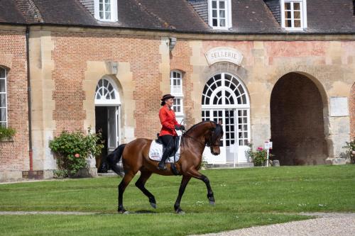 Le Pin-au-HarasにあるCité Pontavice du Haras National du Pinの馬に乗る女