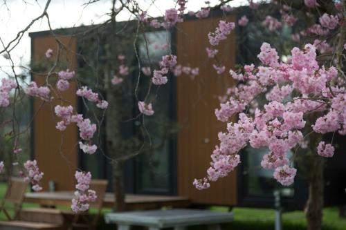 Un jardín fuera de Applewood Cabin 2 by Tiny Away