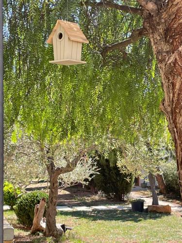 a bird house is hanging from a tree at 4u Bed & Spa in Opoul-Périllos