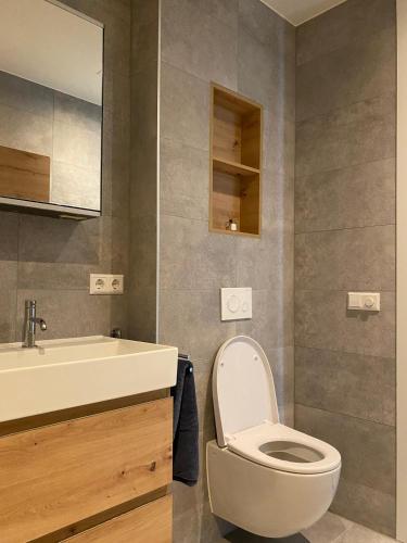 a bathroom with a toilet and a sink at Suite Vuurtoren Zeeland in Scherpenisse
