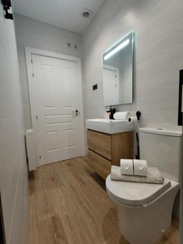 a bathroom with a toilet and a sink and a mirror at 2- Atardeceres in Castro-Urdiales