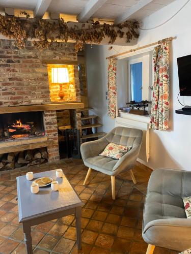カッセルにあるLes gîtes du Tilleul de Casselのソファと暖炉のあるリビングルーム