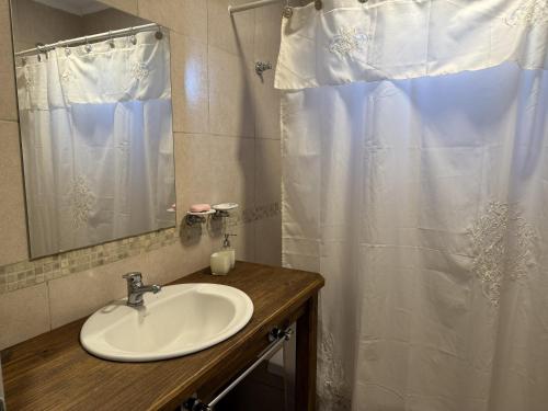 un bagno con lavandino e tenda da doccia di Casa Quinta Suipacha a Suipacha