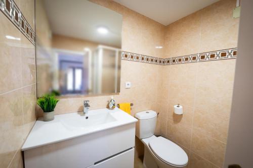 een badkamer met een wastafel, een toilet en een spiegel bij Apartament La Plana in Campdevánol
