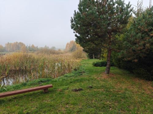 Afbeelding uit fotogalerij van Domek nad stawem in Nowy Wiec