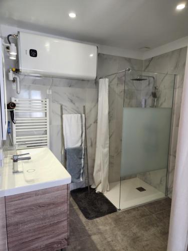 a bathroom with a shower and a sink at Tiny House T1 in Entraigues-sur-la-Sorgue