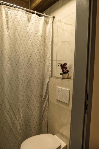 a bathroom with a toilet and a shower at Lux room 5 & ljubljana in Ljubljana