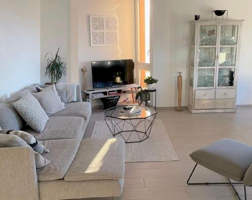 Una sala de estar con un sofá y un televisor. en LAUSANNE PULLY sunny apartment on lakeside street and direct bus to Lausanne train station, en Pully