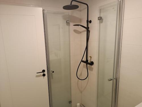a shower with a shower head in a bathroom at Villa Professor in Tallinn
