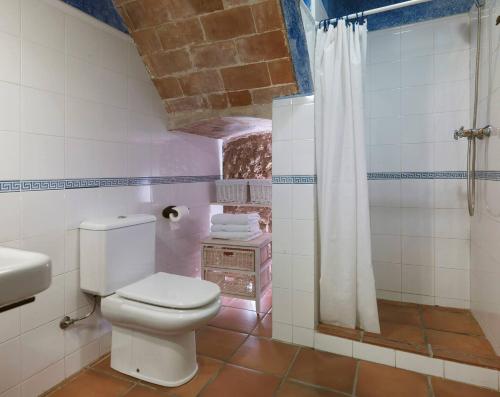 un baño con inodoro y ducha en Mas Palou, en Pla del Penedès
