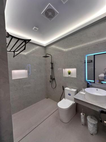 a bathroom with a white toilet and a sink at Foavahi Shark View Inn in Fuvahmulah