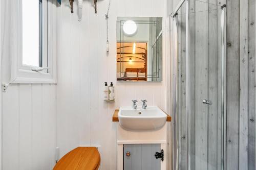 ein Badezimmer mit Waschbecken, Spiegel und Dusche in der Unterkunft Stag Shepherds Hut in Hartfield