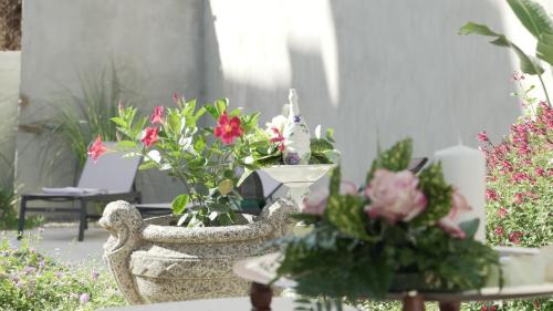 Fotografie z fotogalerie ubytování PALAZZO RICARDI Chambres d'hotes v destinaci Imperia