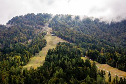 an aerial view of a mountain with trees at Pod Gora Boutique Hotel in Kranjska Gora