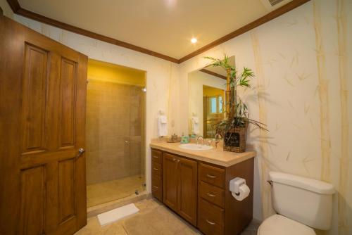 une salle de bain avec toilettes, lavabo et douche dans l'établissement Veranda 4F 2 bdr Garden View in Los Suenos, à Herradura