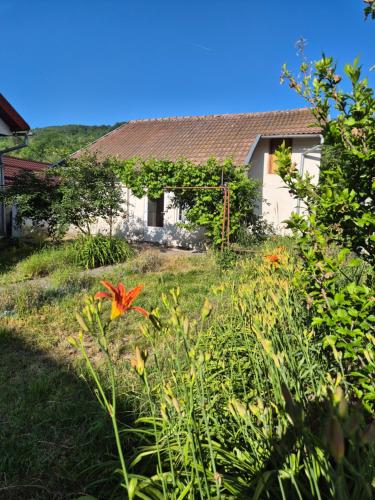 a garden with flowers in front of a house at Căsuța de la linie in Moroeni
