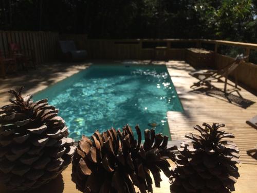 - une piscine avec deux ananas en face dans l'établissement Les Cabanes du Tertre, à Urval