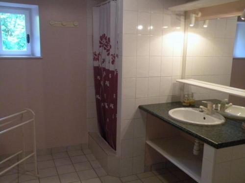a bathroom with a sink and a shower at Gîte rénové avec grand terrain, proche d'Épinal, idéal pour balades et familiales - FR-1-589-87 in Dommartin-aux-Bois