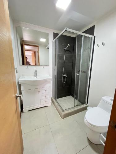 a bathroom with a shower and a toilet and a sink at Ketrawe Townhouse in Pucón