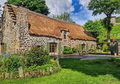 Κήπος έξω από το Tiny House LA TITITINY