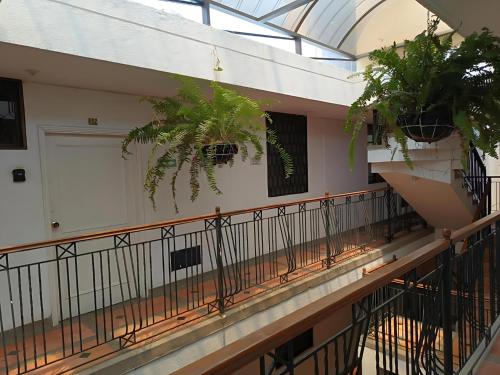 Balkón nebo terasa v ubytování VILLA IRIS