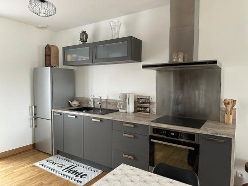 PlanchezにあるLogement Spacieux et Lumineuxのキッチン(グレーのキャビネット、ステンレス製の冷蔵庫付)