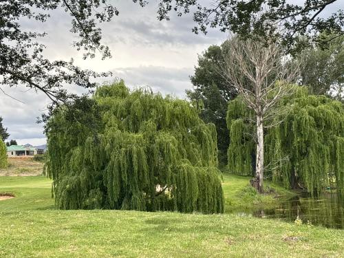 Φυσικό τοπίο κοντά σε αυτό το διαμέρισμα