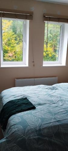 a bed in a bedroom with two windows at Home stay in Basingstoke