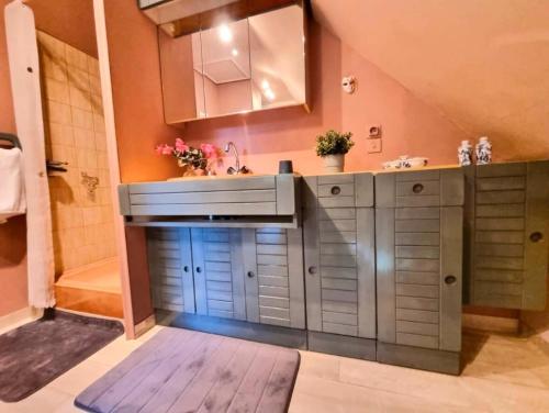 a bathroom with a sink and a shower at Les bosquets chambre d hôtes in Caugé