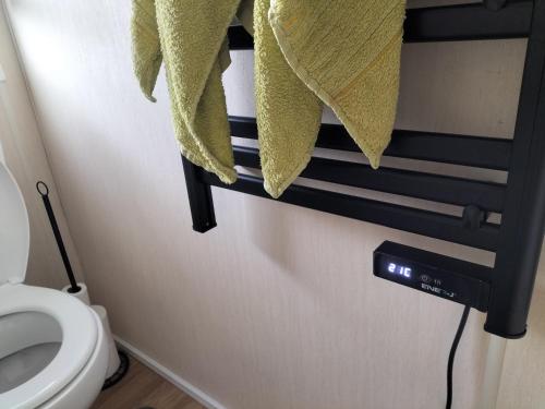 baño con aseo y reloj en la pared en Willows 104 Caravan - 7 Lakes, en Crowle
