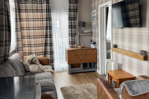 a living room with a dog laying on a couch at 2Bed Chalet Sleeps 4- Garden Balcony Pets Beach in Bridlington