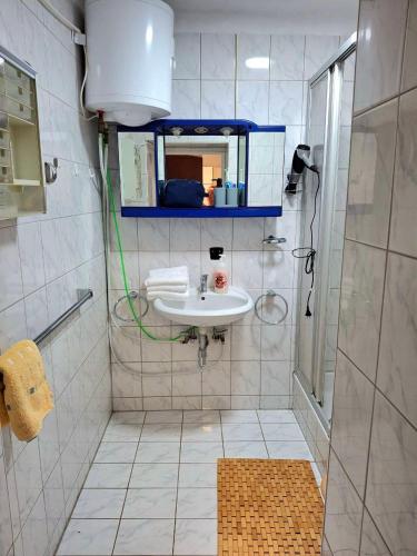 a small bathroom with a sink and a shower at Family Apartment Tauchen 8 in Mönichkirchen