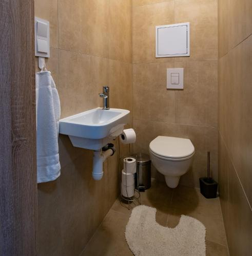 a bathroom with a sink and a toilet at Apartment No.28 Jasná in Belá