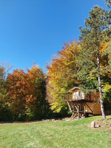 Treetop Tiny House Pod Korunami