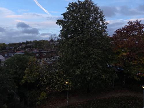 un grande albero nel mezzo di una città di Spacious rooms Golders Green NW2 a Londra