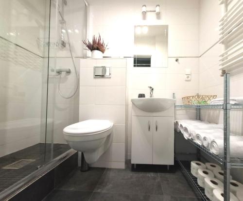 Et badeværelse på Apartament Staromiejski