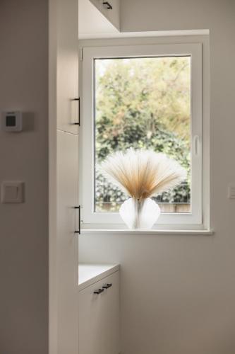 a window in a kitchen with a feather centerpiece at Dream Premium Apartman in Mosonmagyaróvár