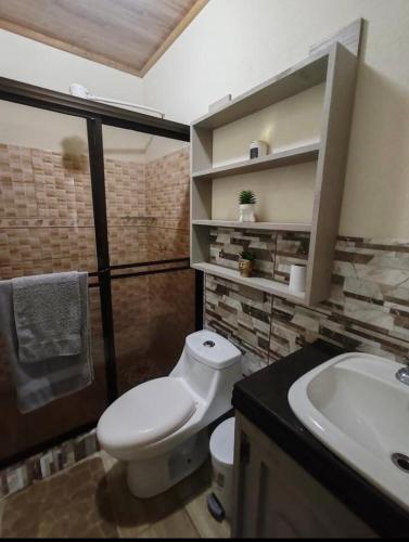 a bathroom with a white toilet and a sink at Cabaña El Tucán in Guápiles