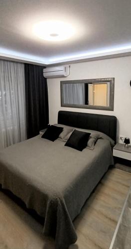 a bedroom with a large bed in a room at Apartment & Studio Isidora in Novi Sad