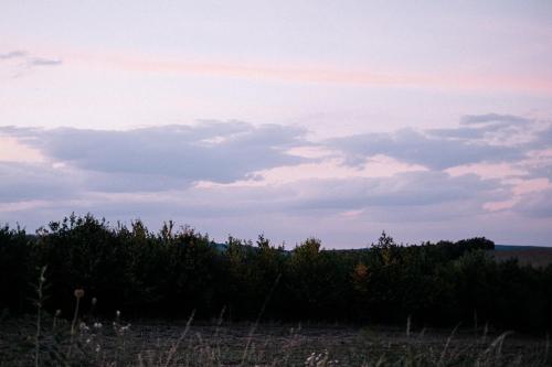 Příroda nedaleko luxury tent