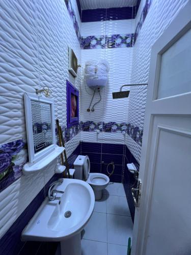 un baño con lavabo e inodoro en Cozy airconditioned two bedroom apartments شقق فندقية مكيفة للإيجار, en Ras El Bar