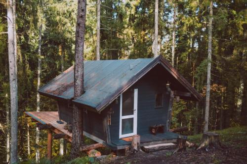 una casita en el bosque en ALŪNA house, 