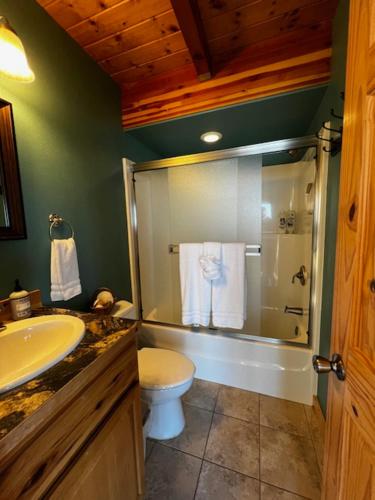 ニューポートにあるKrakens Koveのシャワー、トイレ、洗面台を備えたバスルーム