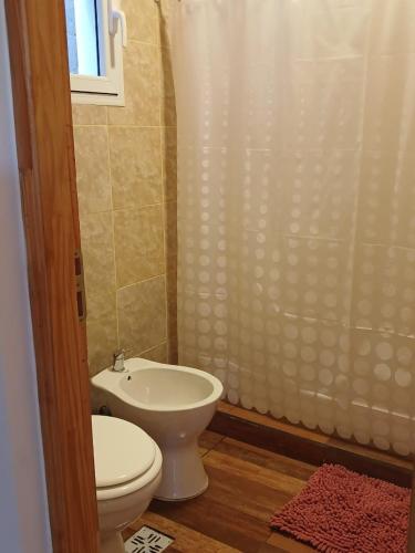 a bathroom with a toilet and a sink and a shower at La Chabela 02 in Trevelín